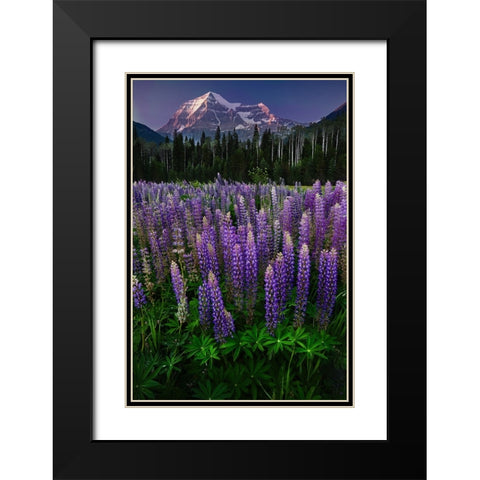 Mt Robson Black Modern Wood Framed Art Print with Double Matting by Poushkina, Marina