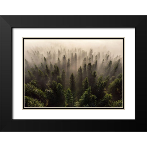 The Army Of Firs Black Modern Wood Framed Art Print with Double Matting by Ioan Ovidiu, Lazar