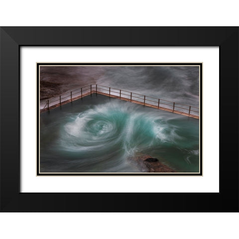 Curlie Black Modern Wood Framed Art Print with Double Matting by Steggles, Rosie