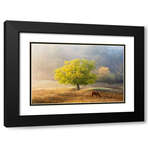 Tree Of Life Black Modern Wood Framed Art Print with Double Matting by Prioteasa, Sebastian
