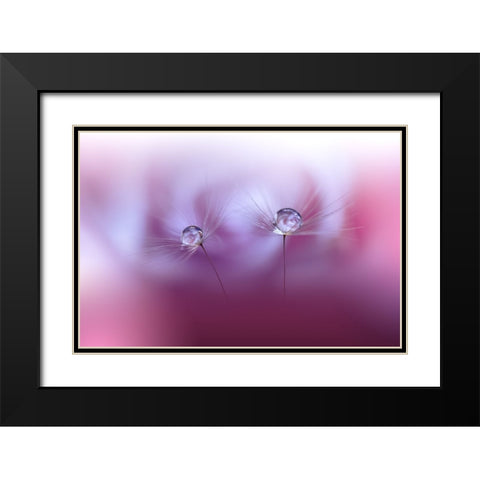 Two Worlds...II Black Modern Wood Framed Art Print with Double Matting by Nan, Juliana