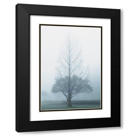 Two Trees Black Modern Wood Framed Art Print with Double Matting by Allen, Elizabeth