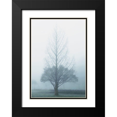 Two Trees Black Modern Wood Framed Art Print with Double Matting by Allen, Elizabeth