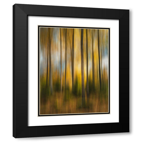 Autumn Forest Shaky Black Modern Wood Framed Art Print with Double Matting by Lindsten, Christian