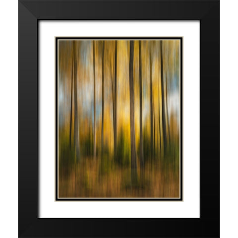 Autumn Forest Shaky Black Modern Wood Framed Art Print with Double Matting by Lindsten, Christian