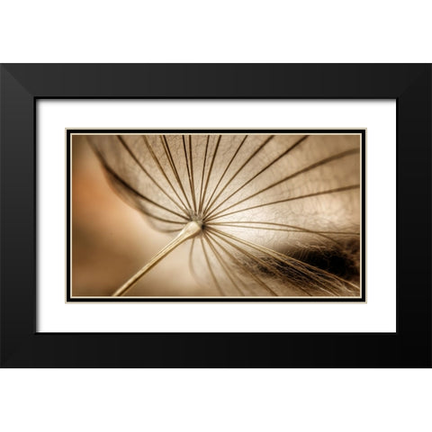 Nature blood vessels Black Modern Wood Framed Art Print with Double Matting by Pessach, Kobbie