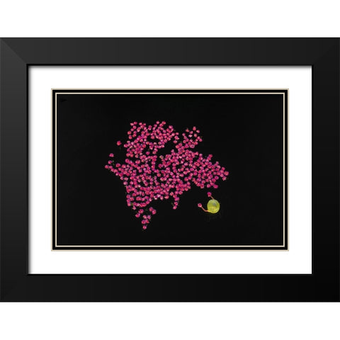 Harvesting water lilies Black Modern Wood Framed Art Print with Double Matting by Tanvir