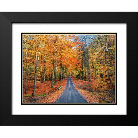 Road into autumn Black Modern Wood Framed Art Print with Double Matting by Lindsten, Christian