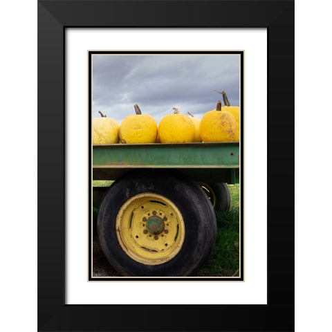 Driving Pumpkins Black Modern Wood Framed Art Print with Double Matting by Lou, Linda