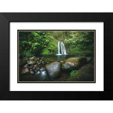 Guadeloupe - Cascade Aux A?Crivisses Black Modern Wood Framed Art Print with Double Matting by Claude Castor, Jean