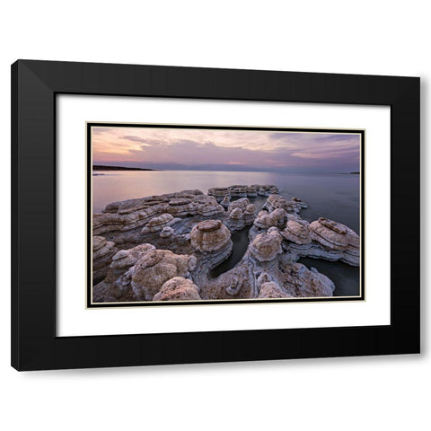 Salted Mushrooms Black Modern Wood Framed Art Print with Double Matting by Artzi, Bar