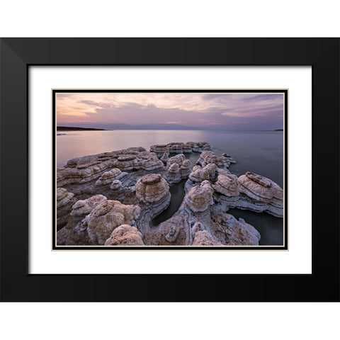 Salted Mushrooms Black Modern Wood Framed Art Print with Double Matting by Artzi, Bar