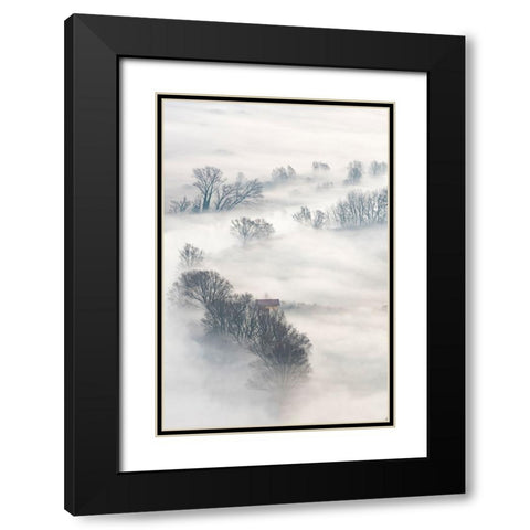 Trees In The Fog Black Modern Wood Framed Art Print with Double Matting by Galimberti, Marco