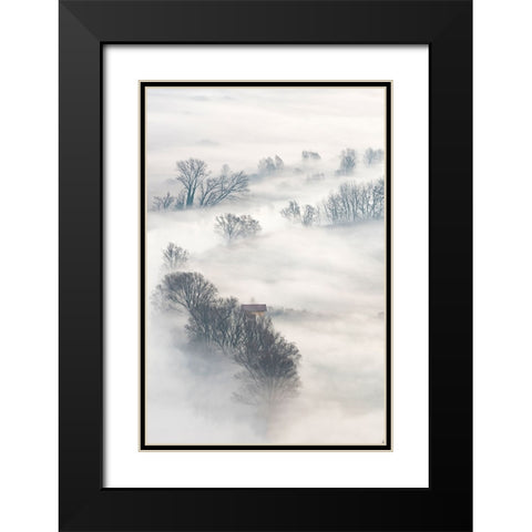 Trees In The Fog Black Modern Wood Framed Art Print with Double Matting by Galimberti, Marco