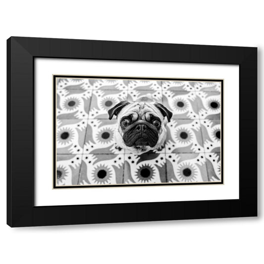 Perspective Image