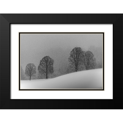 Snow White Black Modern Wood Framed Art Print with Double Matting by Dauer, Andy