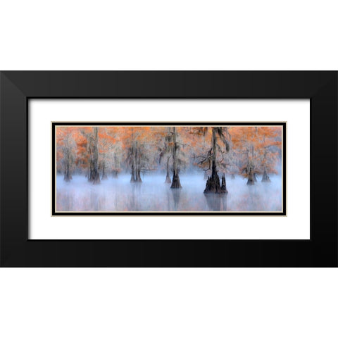 Caddo Lake Black Modern Wood Framed Art Print with Double Matting by Zhu, Hua
