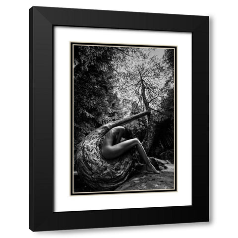 Wild Black Modern Wood Framed Art Print with Double Matting by Mannini, Roberto