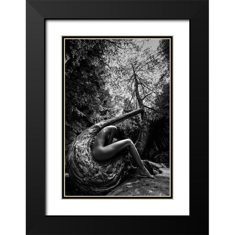 Wild Black Modern Wood Framed Art Print with Double Matting by Mannini, Roberto