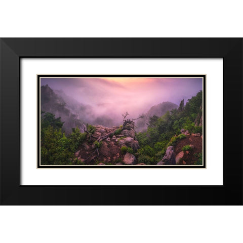 New Life Black Modern Wood Framed Art Print with Double Matting by Seo, Tiger