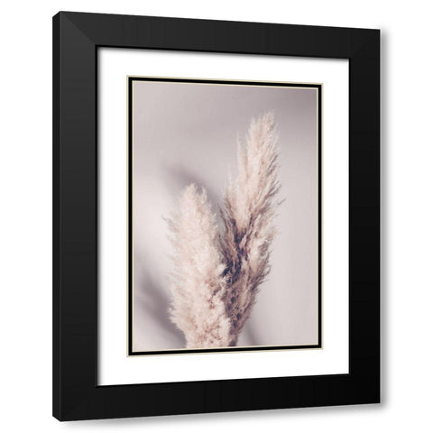 Pampas Grass Black Modern Wood Framed Art Print with Double Matting by 1x Studio III