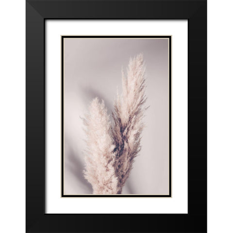 Pampas Grass Black Modern Wood Framed Art Print with Double Matting by 1x Studio III