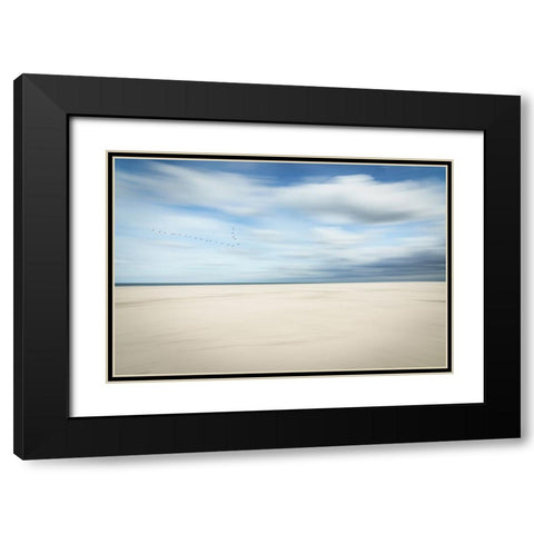 Birds At The Seaside Black Modern Wood Framed Art Print with Double Matting by Reichelt, Dieter