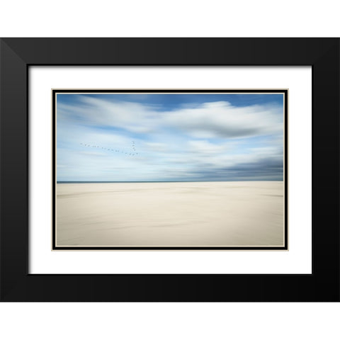 Birds At The Seaside Black Modern Wood Framed Art Print with Double Matting by Reichelt, Dieter