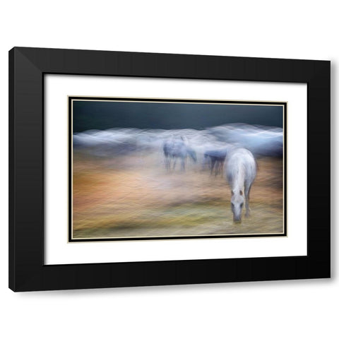 On the pasture Black Modern Wood Framed Art Print with Double Matting by Malovrh, Milan