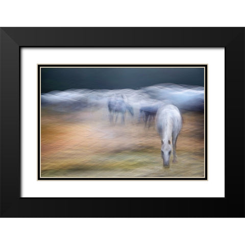 On the pasture Black Modern Wood Framed Art Print with Double Matting by Malovrh, Milan