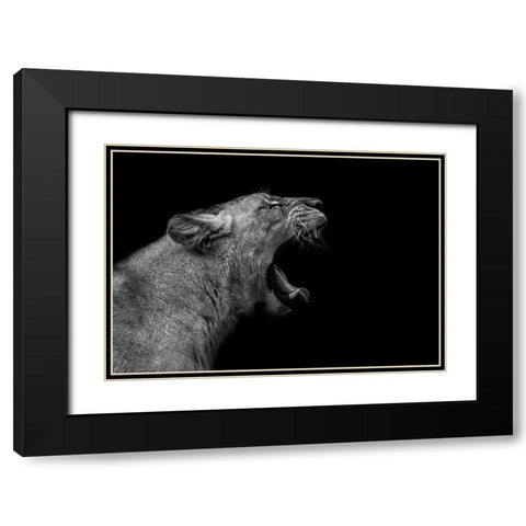 Lioness In Low Key Black Modern Wood Framed Art Print with Double Matting by Nauzet Baez Photography
