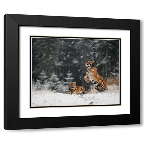 It Is Snowing Black Modern Wood Framed Art Print with Double Matting by Firesova, Michaela