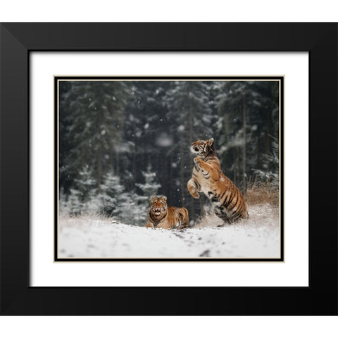 It Is Snowing Black Modern Wood Framed Art Print with Double Matting by Firesova, Michaela