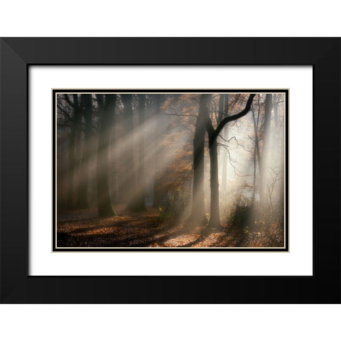 Morning-walk Black Modern Wood Framed Art Print with Double Matting by Lathouwers, Liliane