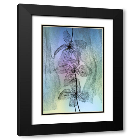 3 Flowers Black Modern Wood Framed Art Print with Double Matting by Kowatari, Shihya