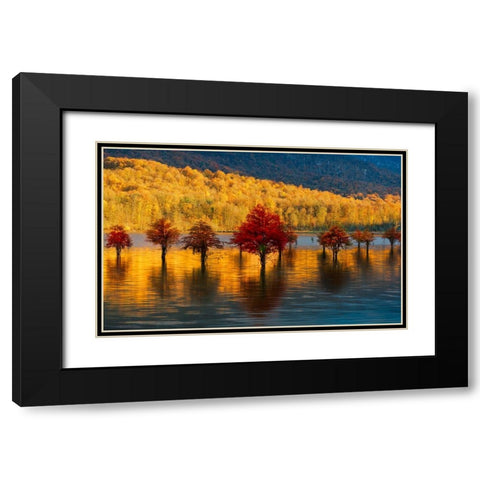 Golden sunset Black Modern Wood Framed Art Print with Double Matting by Fallahzadeh, Ali