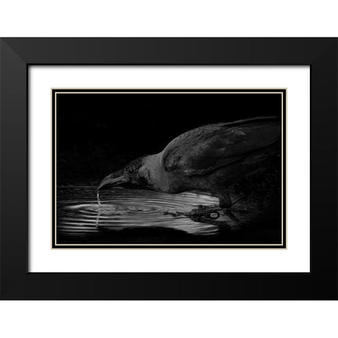 Water Black Modern Wood Framed Art Print with Double Matting by Zaeitar, Ahmed