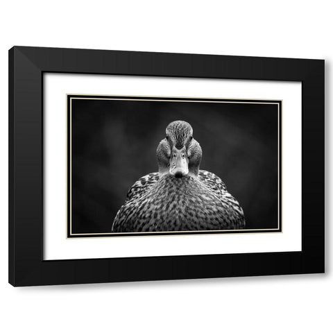 Look at me Black Modern Wood Framed Art Print with Double Matting by Pfeiffer, Peter
