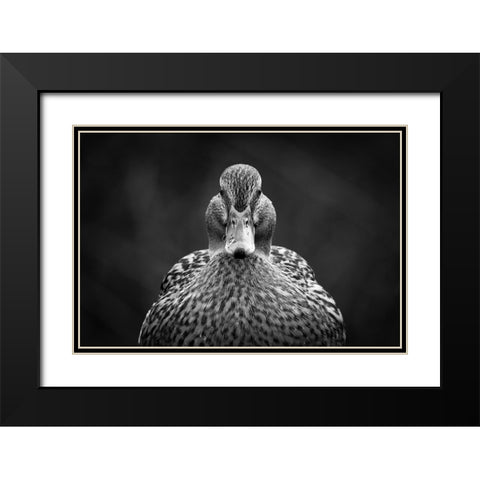 Look at me Black Modern Wood Framed Art Print with Double Matting by Pfeiffer, Peter