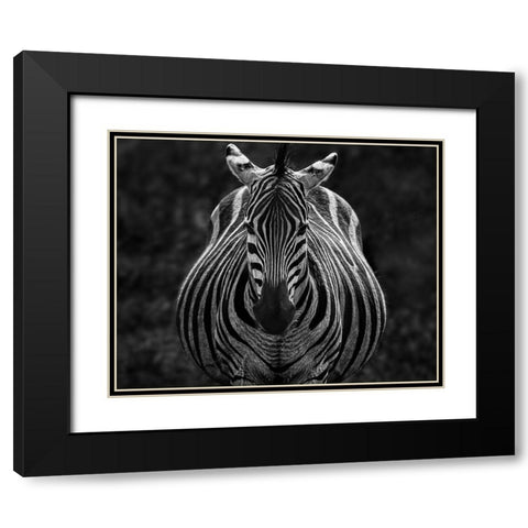 Stare Black Modern Wood Framed Art Print with Double Matting by Chen, Jiong