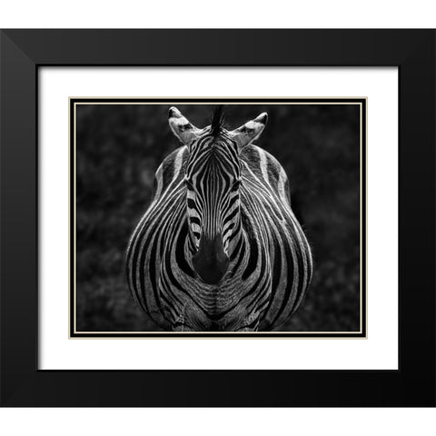 Stare Black Modern Wood Framed Art Print with Double Matting by Chen, Jiong