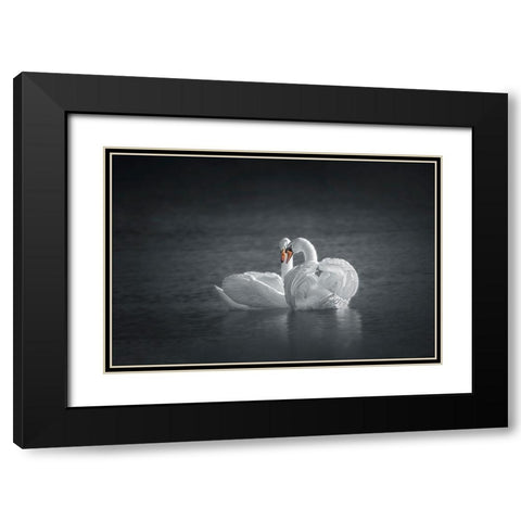 Public Display of Affection Black Modern Wood Framed Art Print with Double Matting by Hu, Mei
