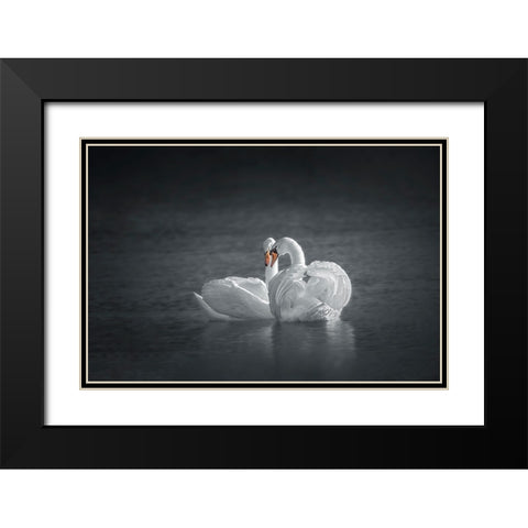 Public Display of Affection Black Modern Wood Framed Art Print with Double Matting by Hu, Mei