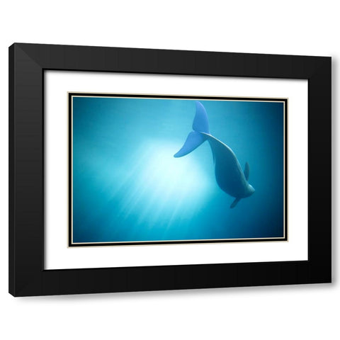 Velure Moana Black Modern Wood Framed Art Print with Double Matting by Lintaman, Adachi