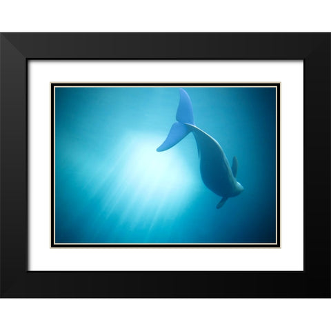 Velure Moana Black Modern Wood Framed Art Print with Double Matting by Lintaman, Adachi