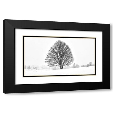 LONELY TREE Black Modern Wood Framed Art Print with Double Matting by Froyda, Martin
