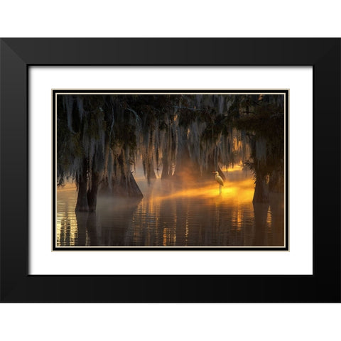 Under Spanish Moss Black Modern Wood Framed Art Print with Double Matting by Mao, Dianne