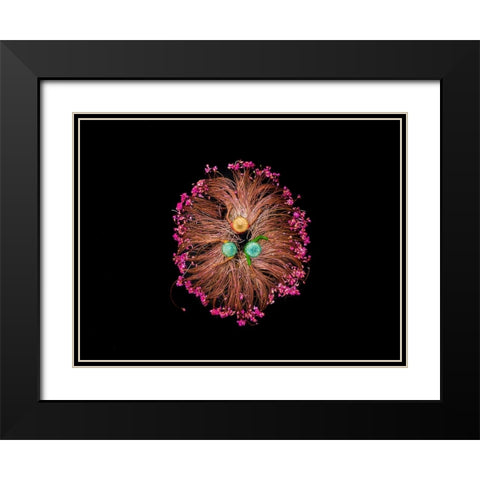 COLORS OF LIFE Black Modern Wood Framed Art Print with Double Matting by Adikary, Sujon