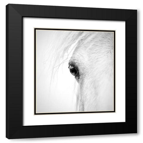 Hose eye Black Modern Wood Framed Art Print with Double Matting by Zhao, Alex