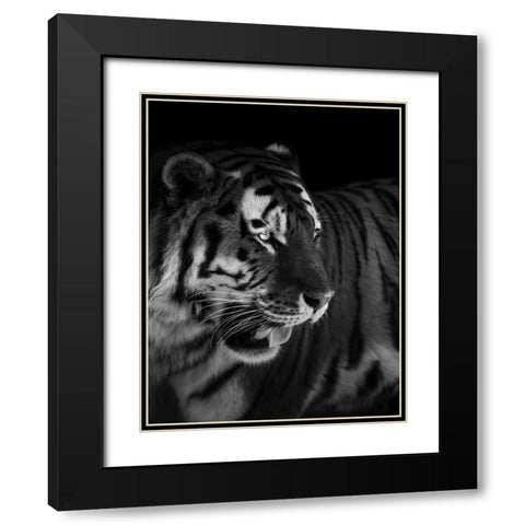 The king Black Modern Wood Framed Art Print with Double Matting by Zhao, Alex